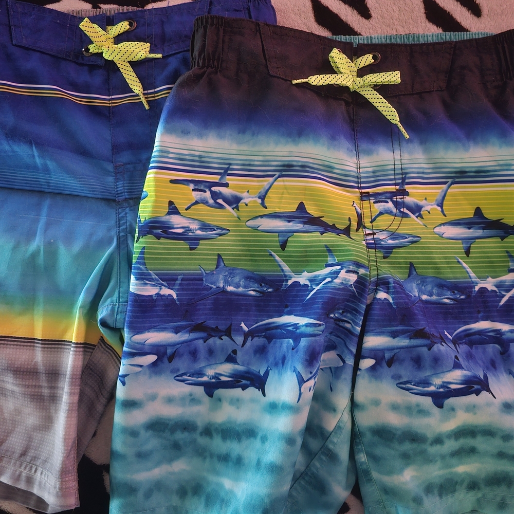 Boy Shark Design Swim Trunks 2 PAIR - Practically New!